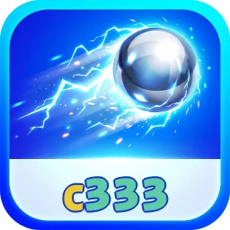 c333