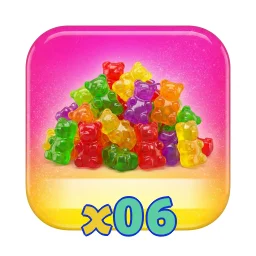 x06